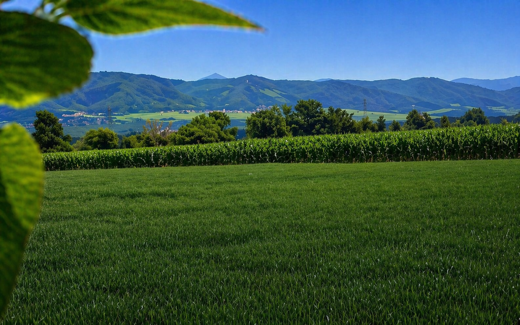 CADRE IDYLLIQUE : 118000 €